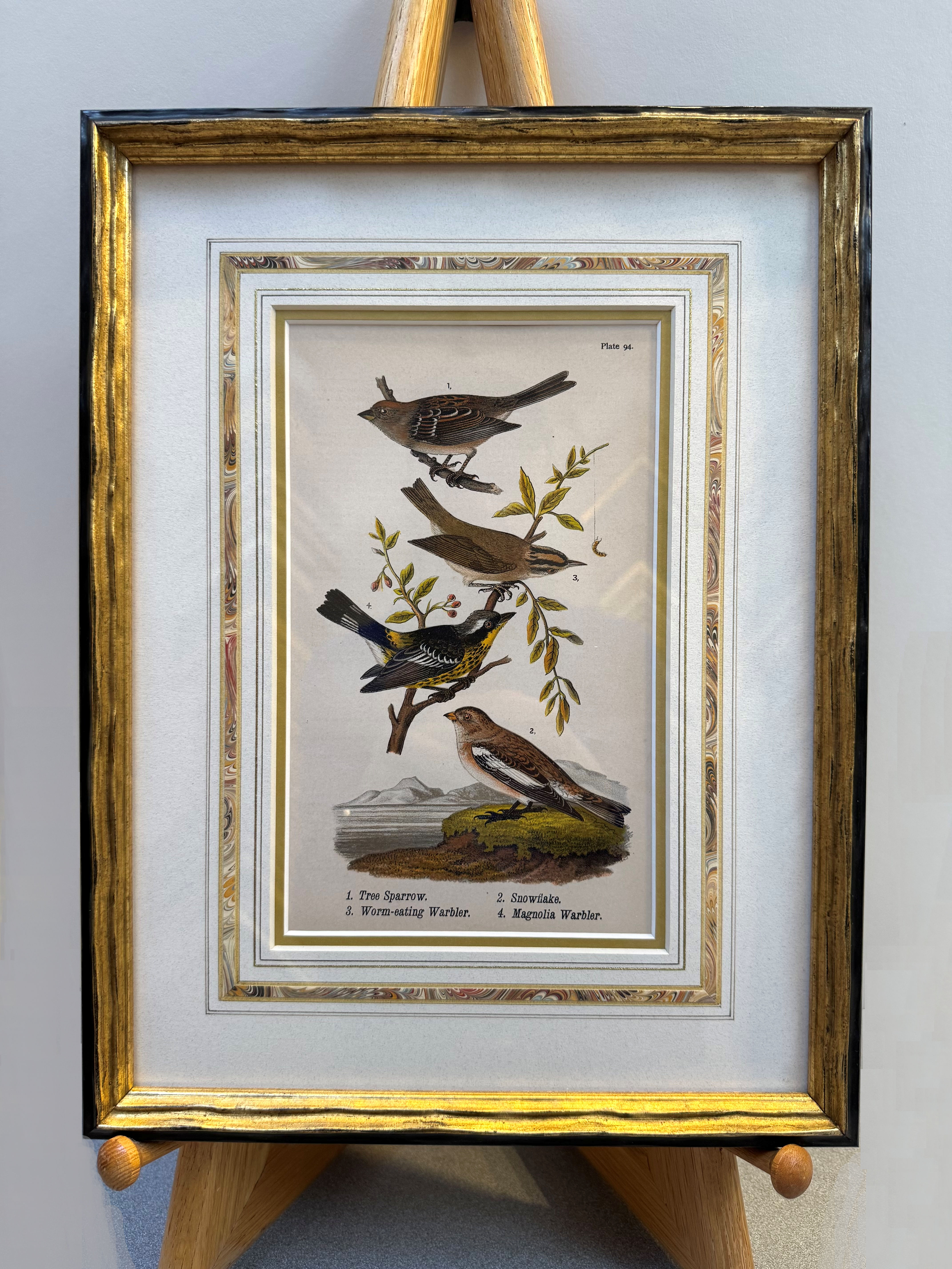Framed Antique Print
