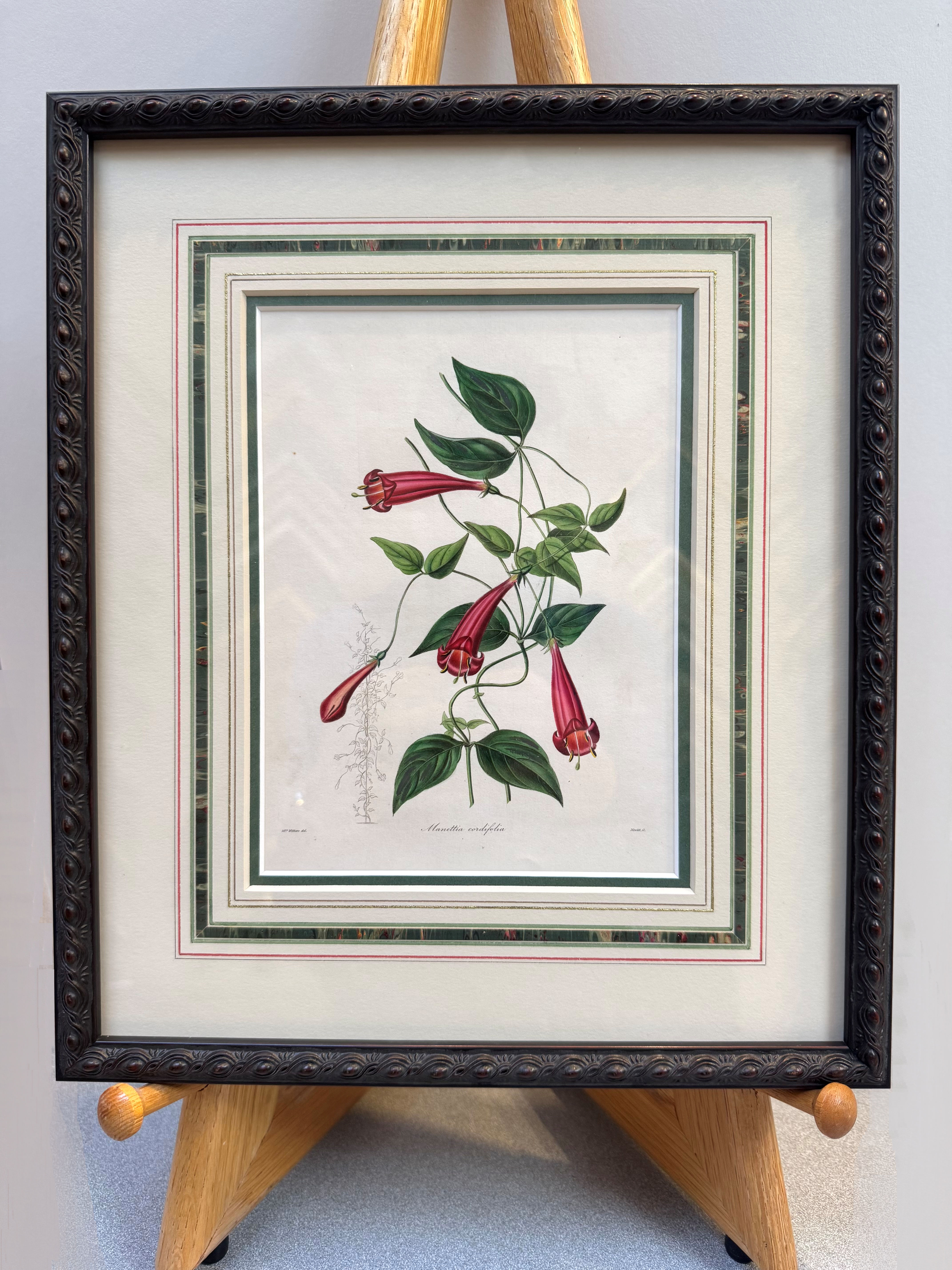Framed Antique Print