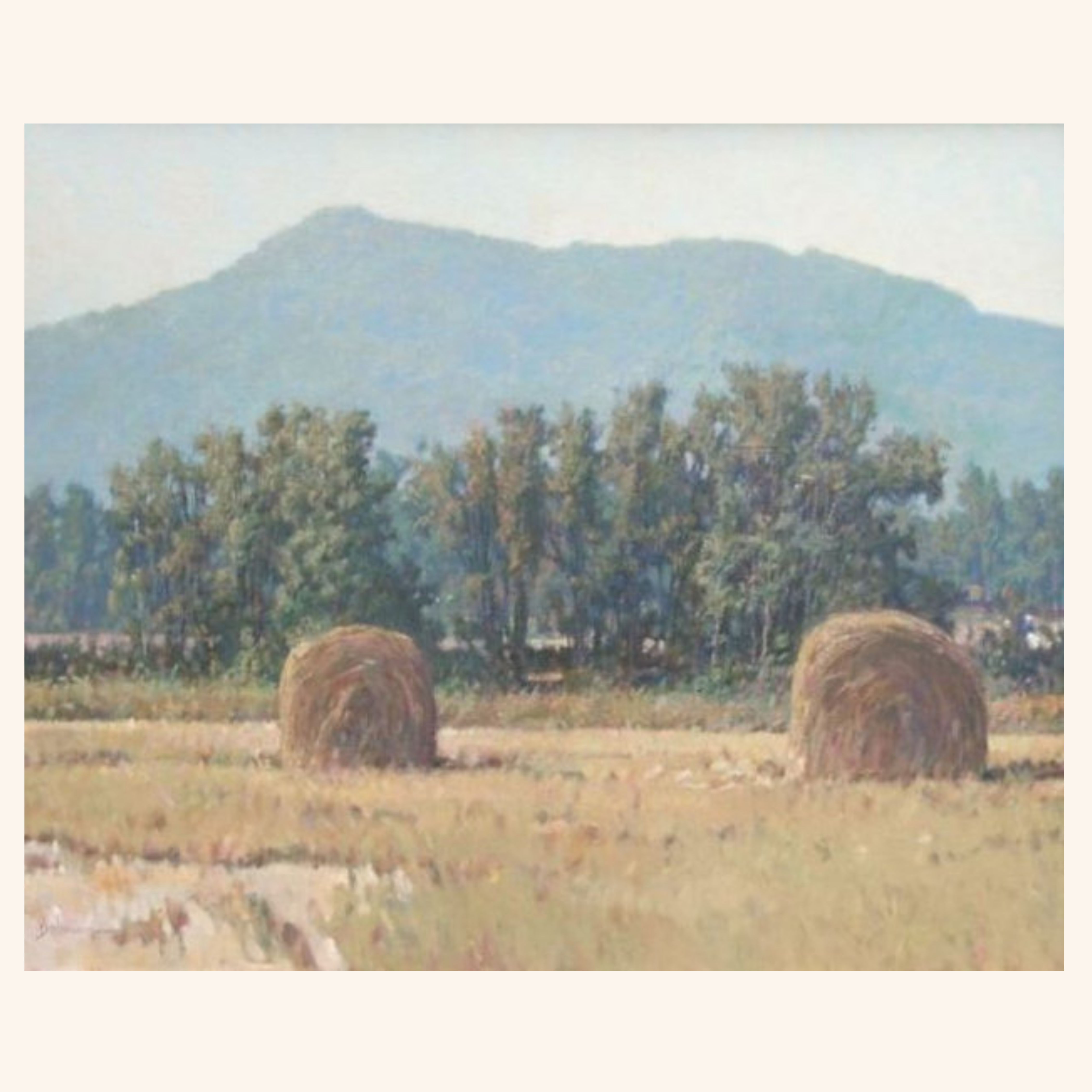 Two Bales-Cash's Valley