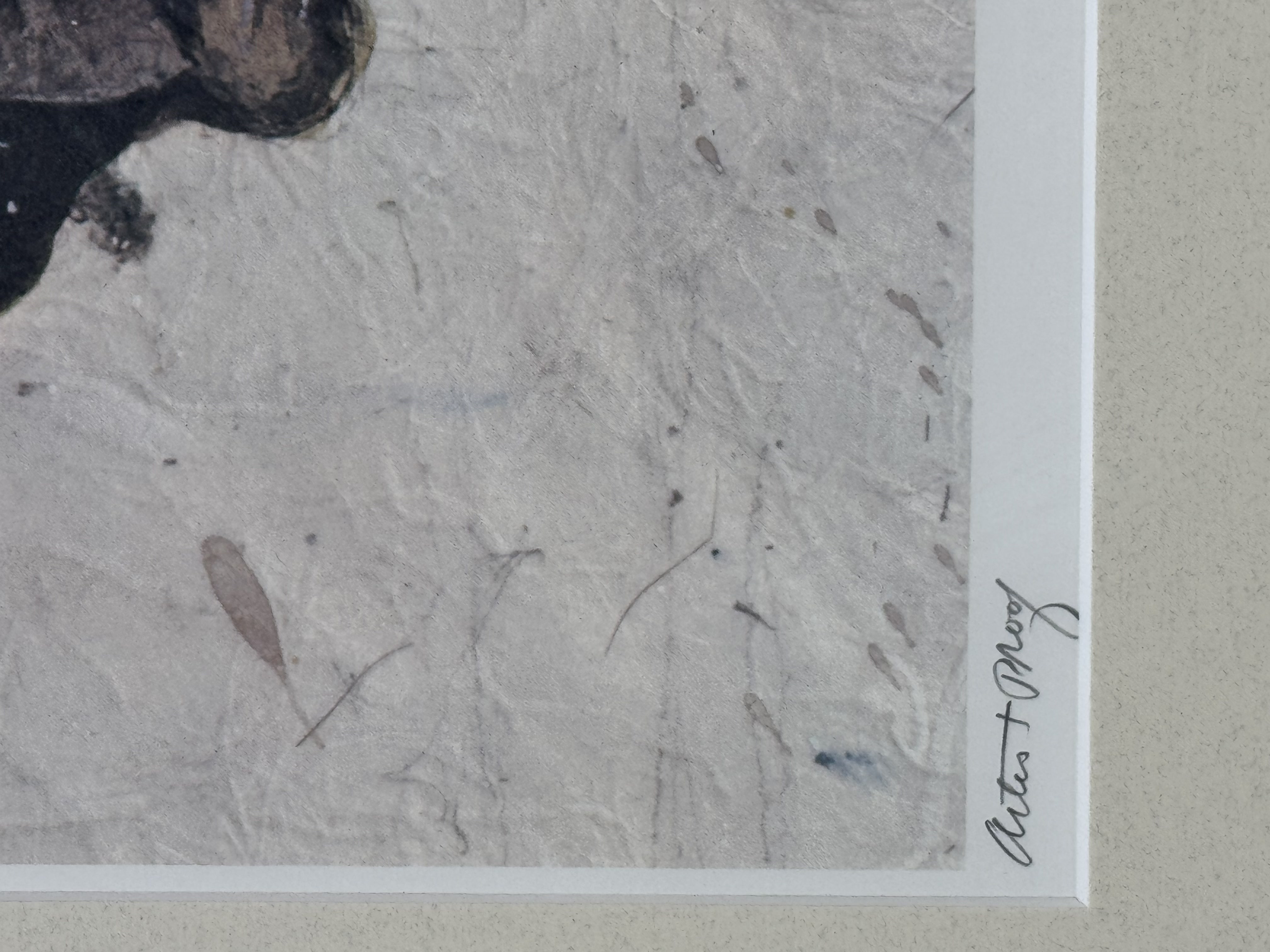 Charles Colombo - SilentNight