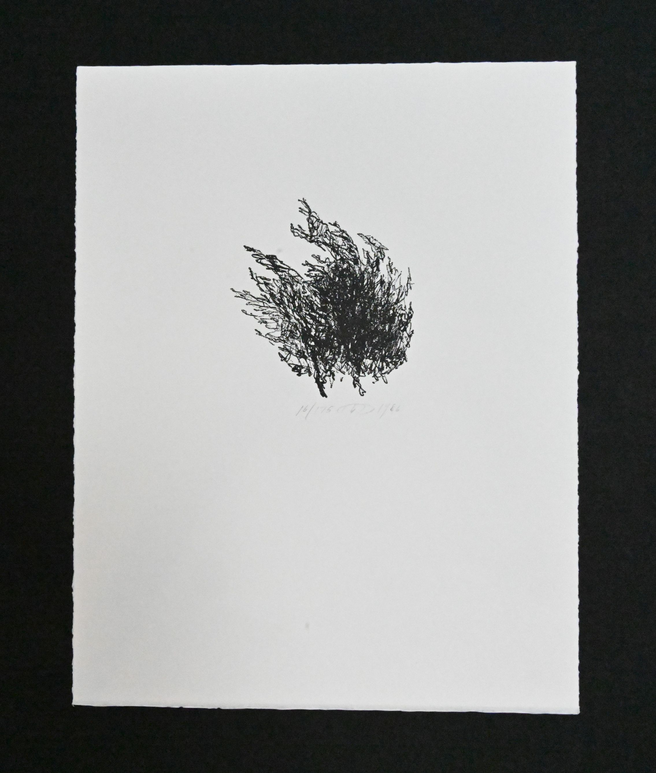 Russel Chatham - Relief Print #2