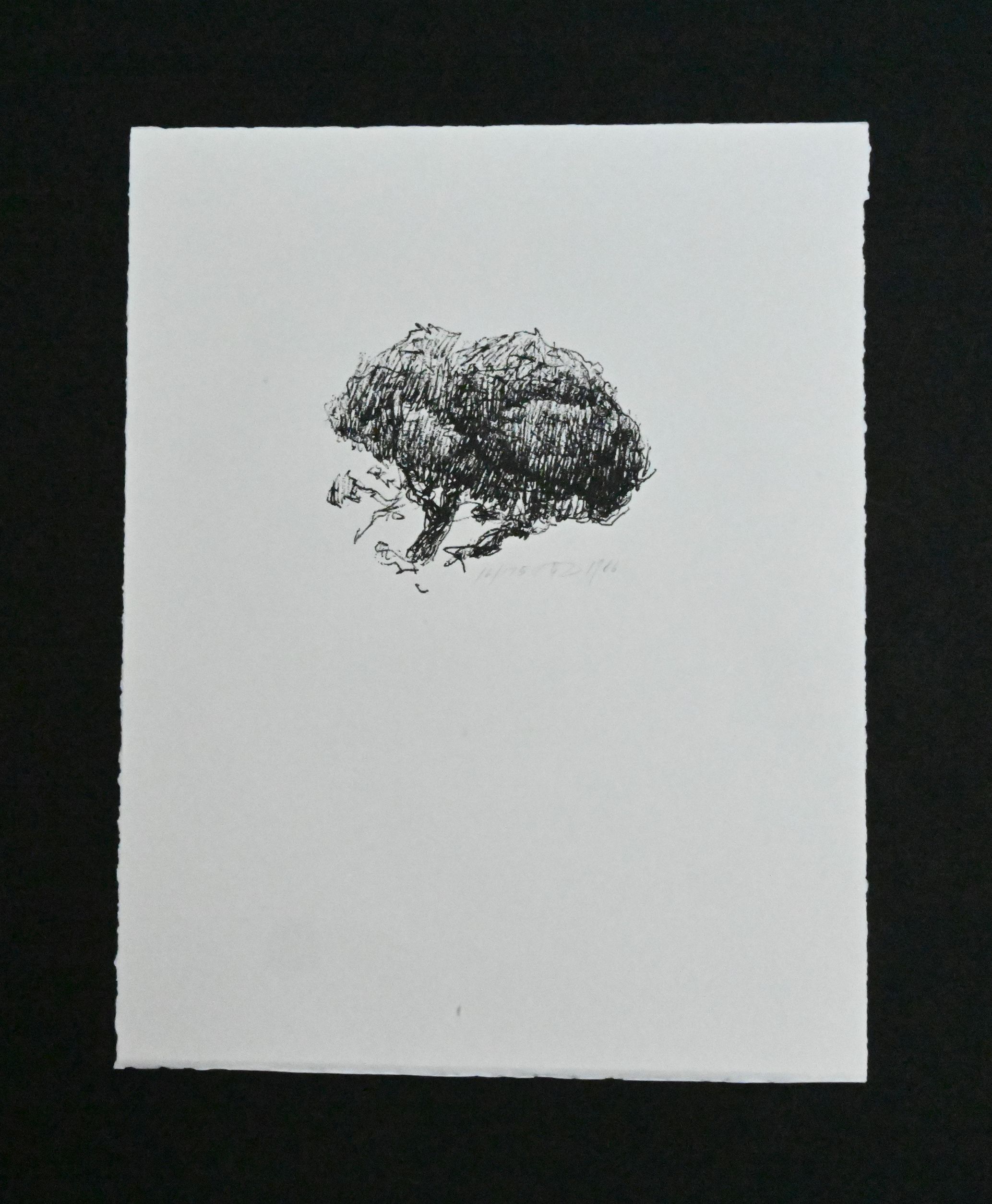 Russel Chatham - Relief Print #5