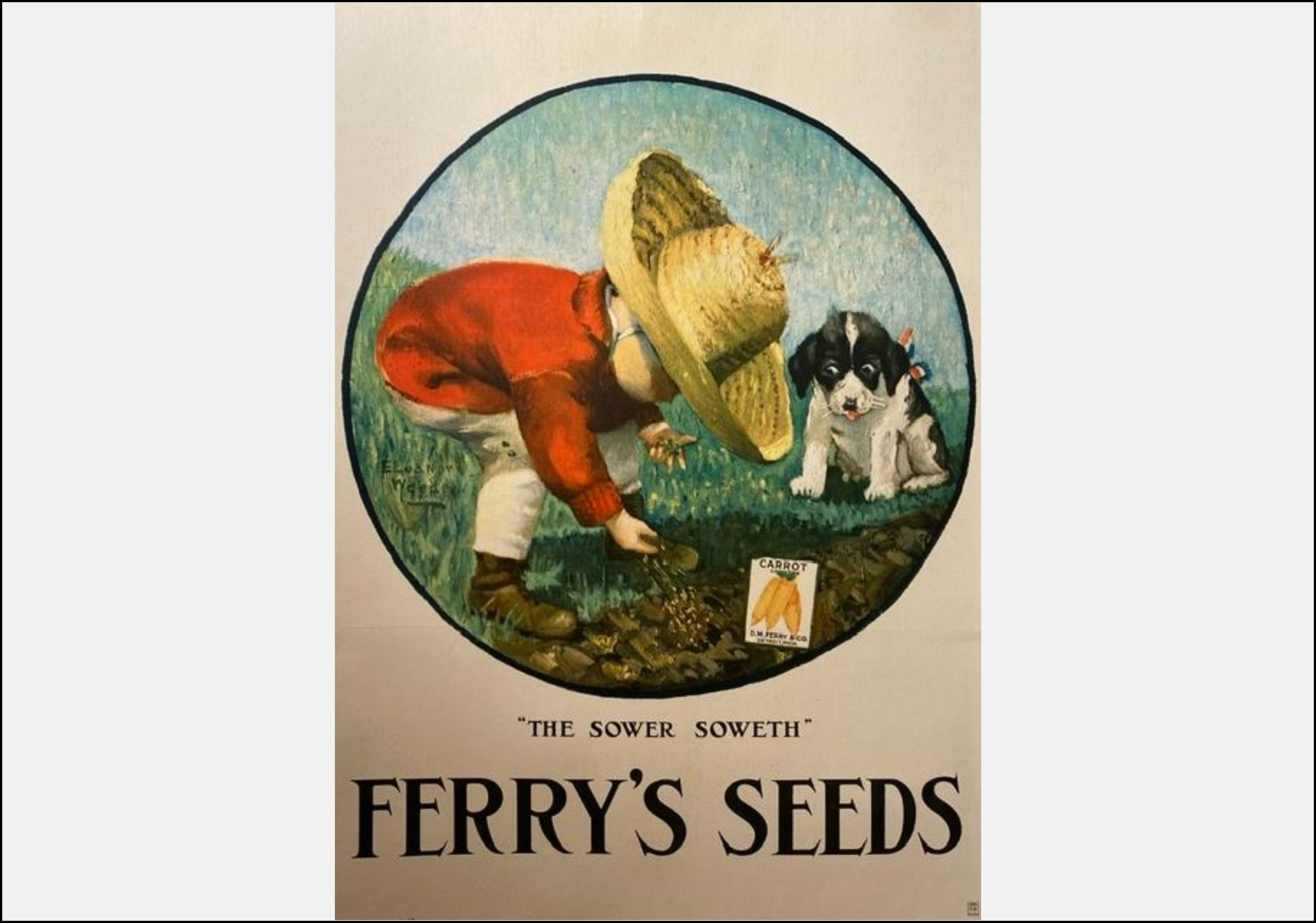 Ferrys Seeds