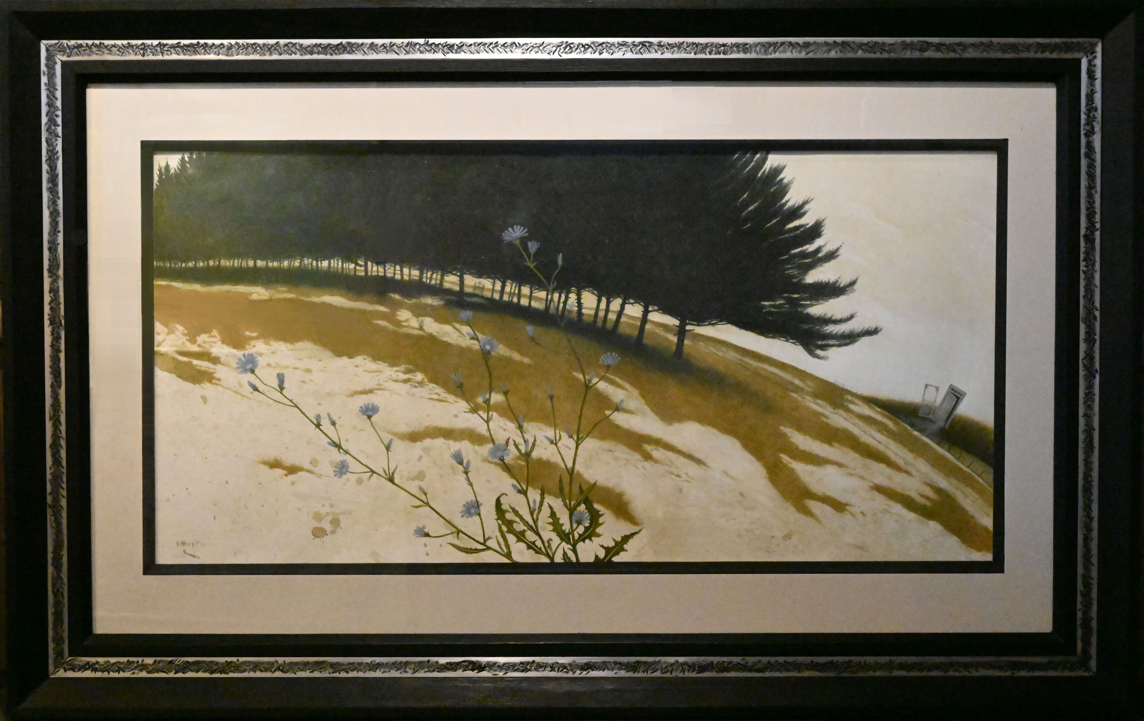 Michael Robear - Snow Flowers