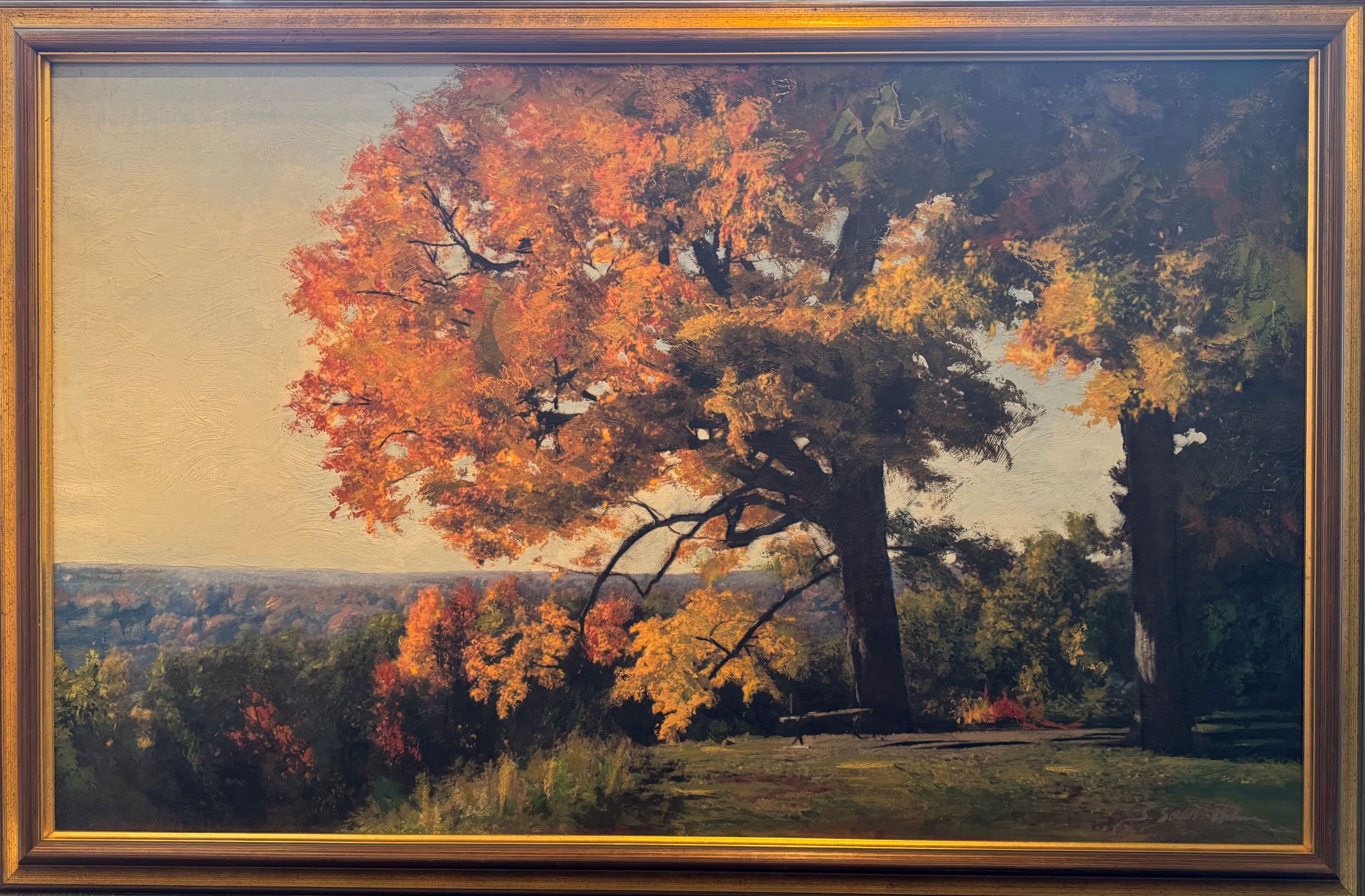 Starlie Sokol-Holne Landscape