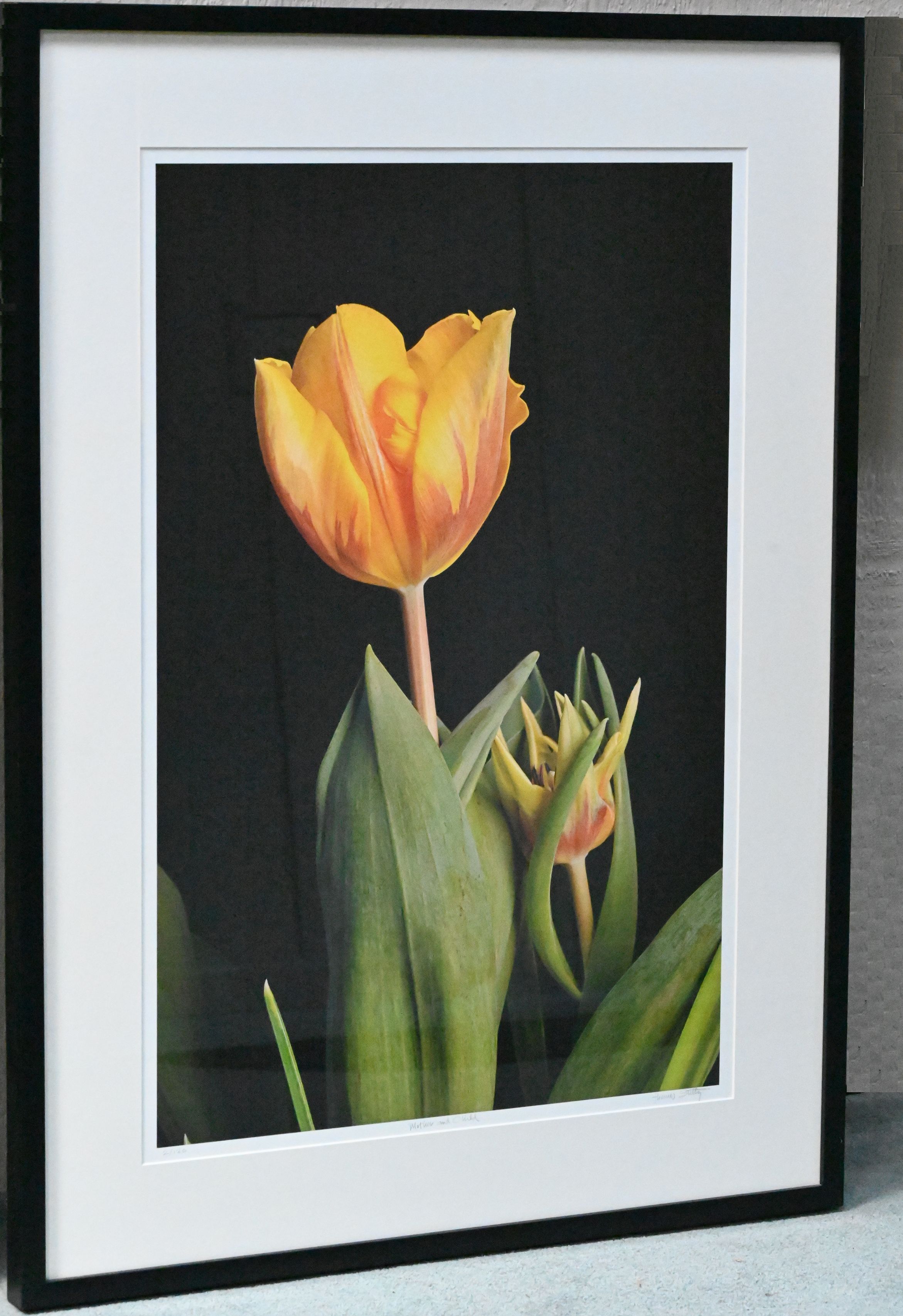 Thomas Stiltz - Mother and Child