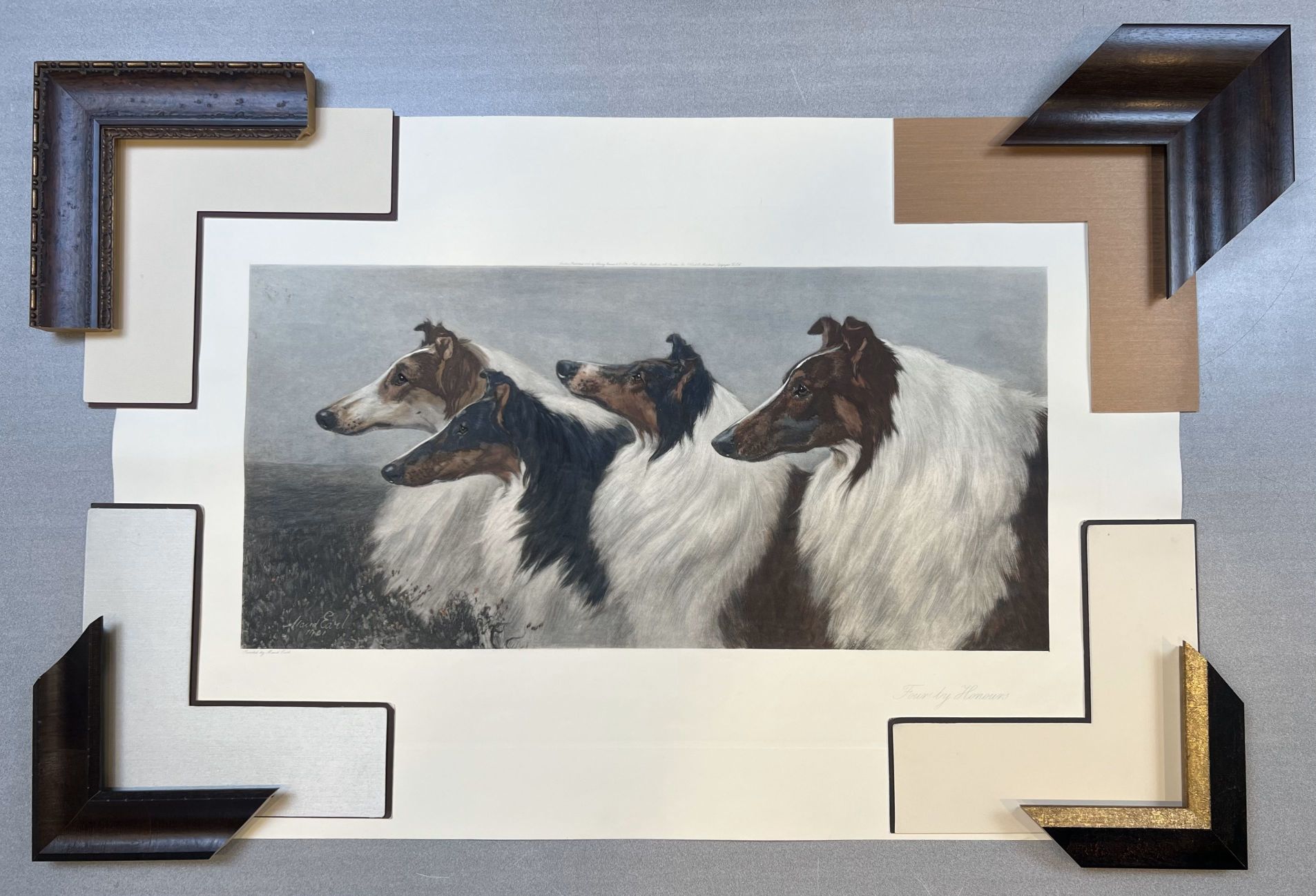 Frame and mat samples-Collies